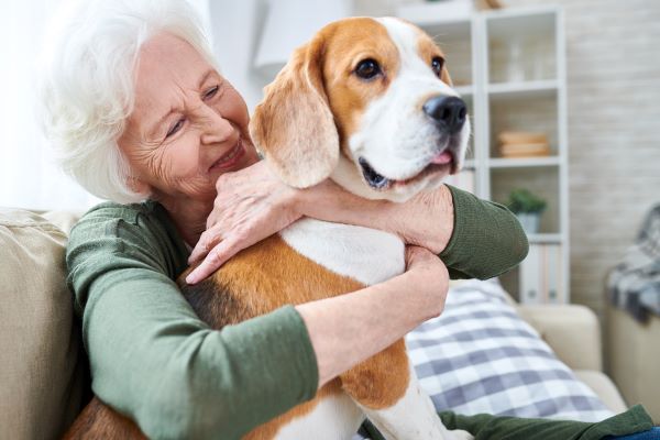 Taking Good Care of Your Pets Through Pet Trusts